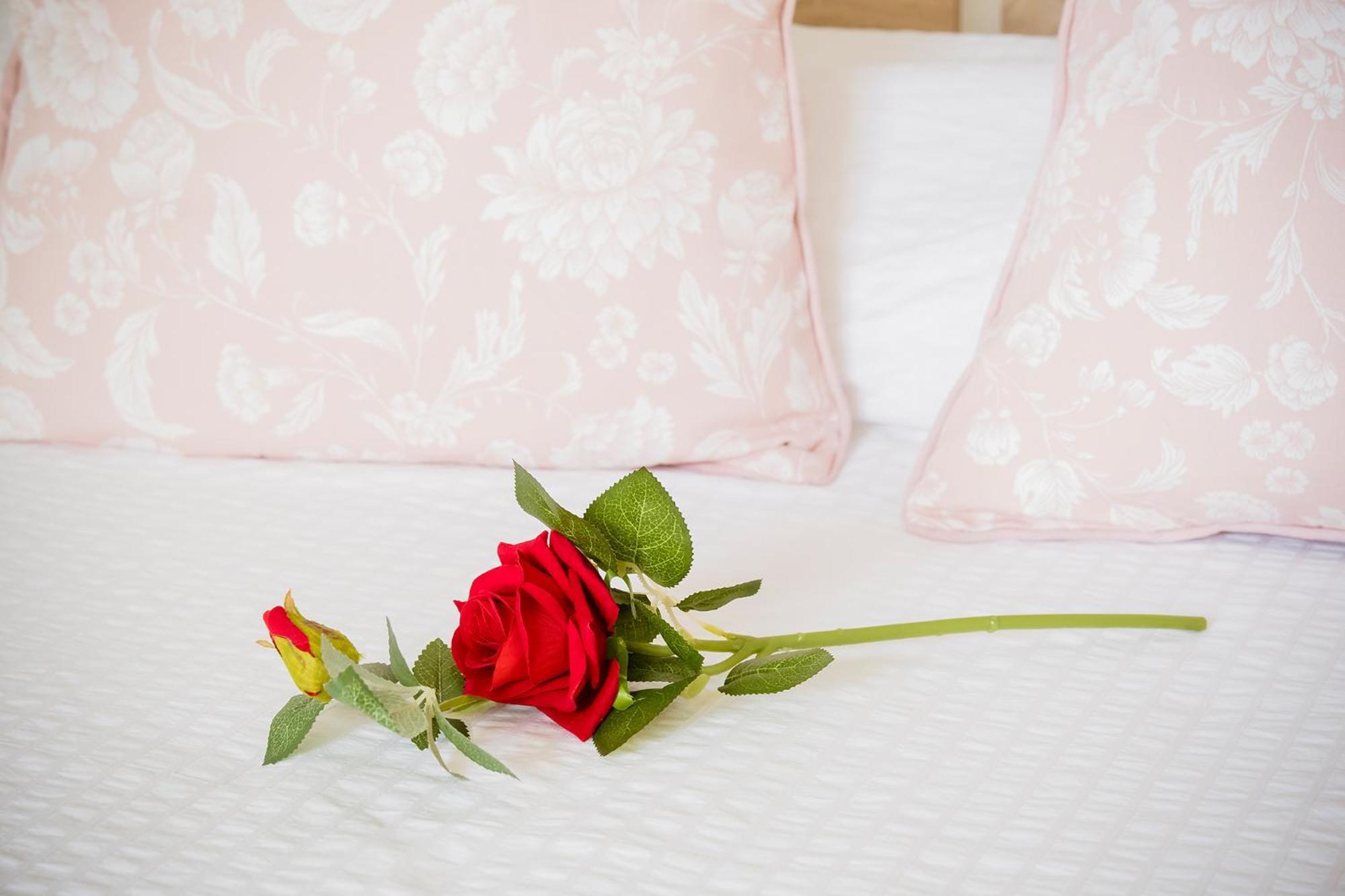Estella By Vive La Exclusividad ปูแอร์ติโต เด กวีมาร์ ภายนอก รูปภาพ